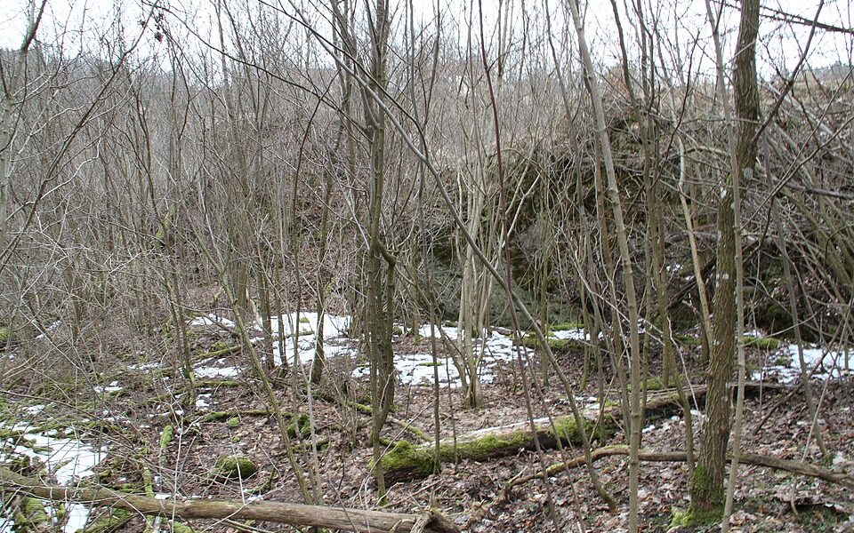 Burgstall Kleinziegenfeld