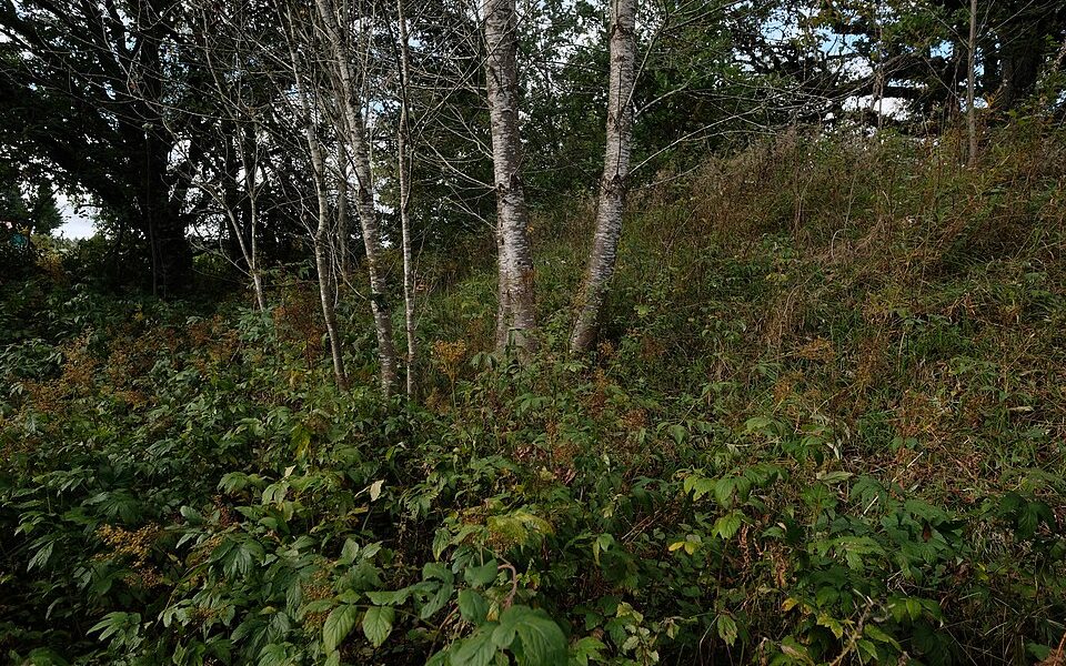 Ruine Runstal