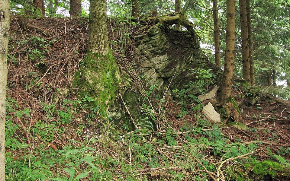Burgstall Wachsenegg