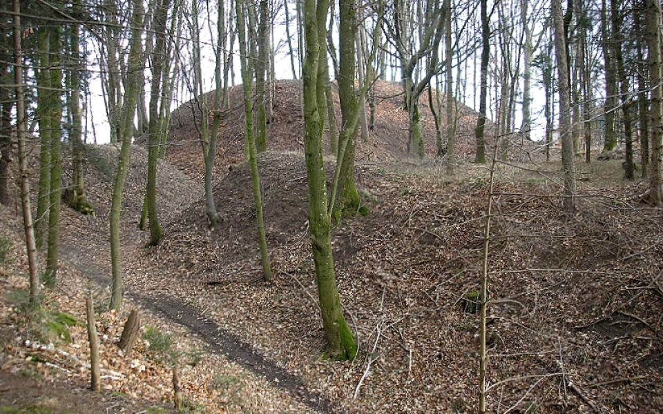 Burgstall Walleshausen