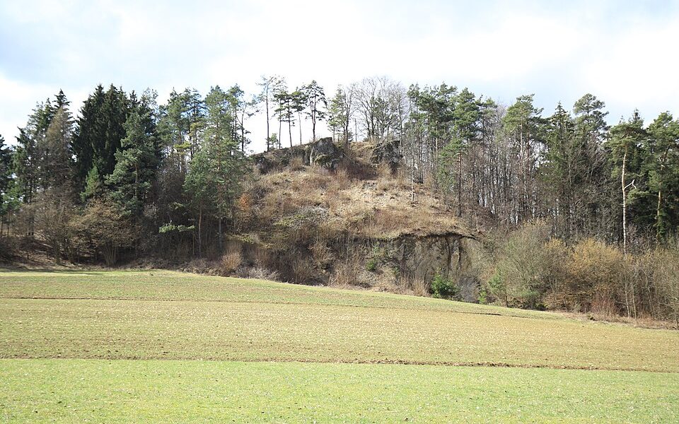 Burgstall Wartberg (Kosbrunn)