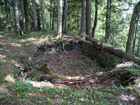Photo: Lokolia, CC BY-SA 4.0, Wikimedia Commons