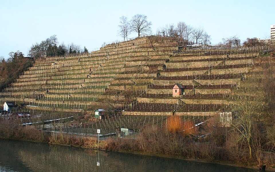 Burg Freienstein (Münster)