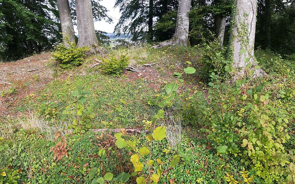Burgstelle Liebenberg