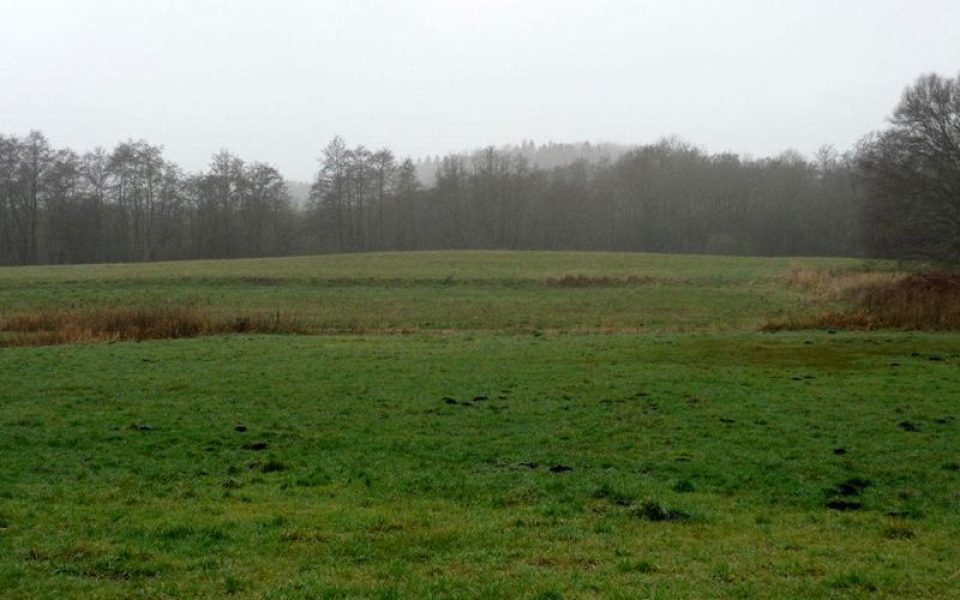 Burgwall Reddershof