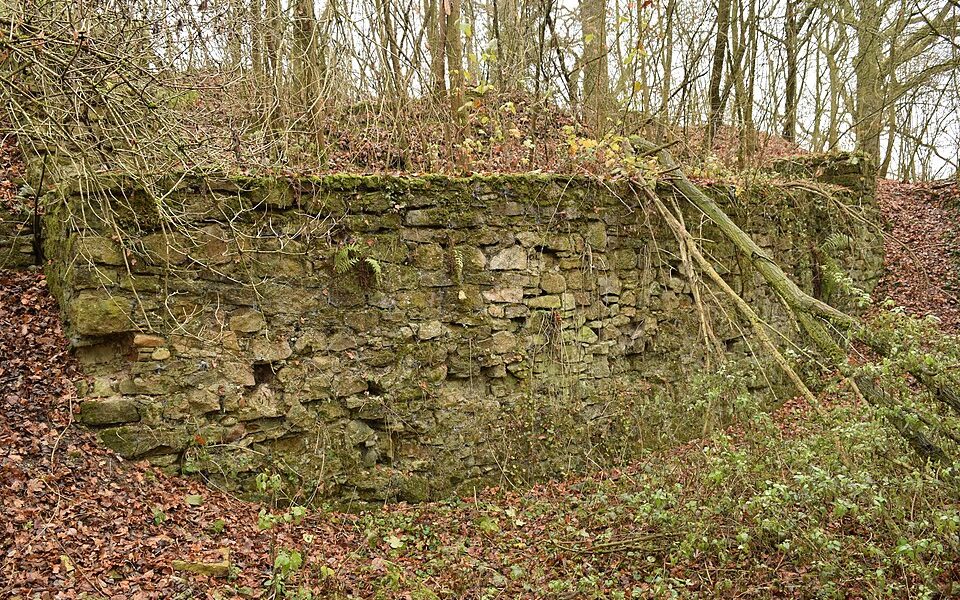 Château de Butenheim