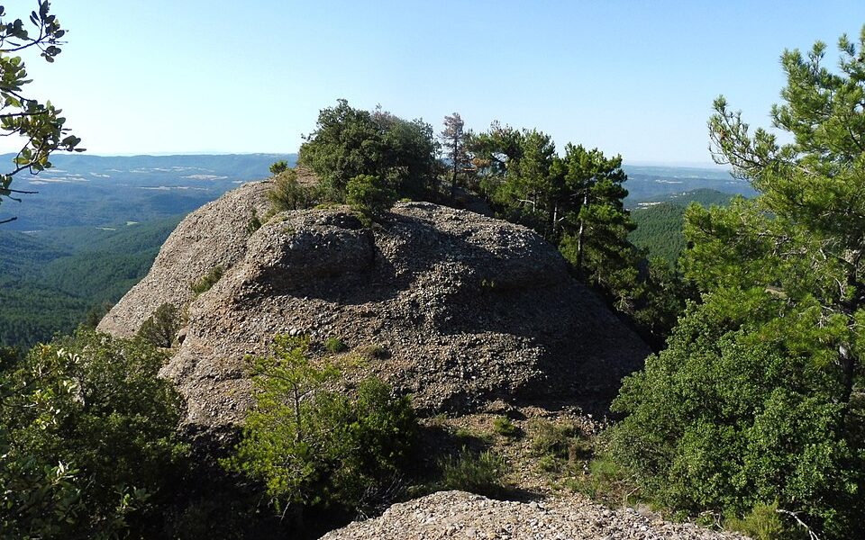 Castell de Montpol