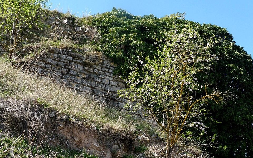 Castell de Rubinat