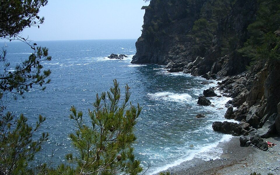 Cala Pedrosa