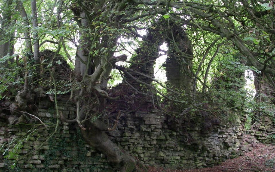 Cas Troggy Castle