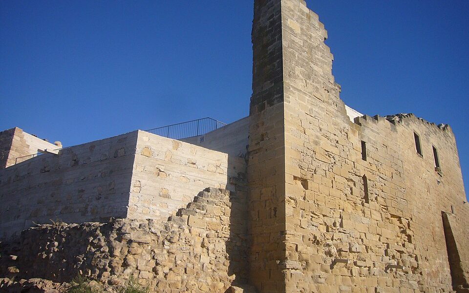 Castell de l'Albi