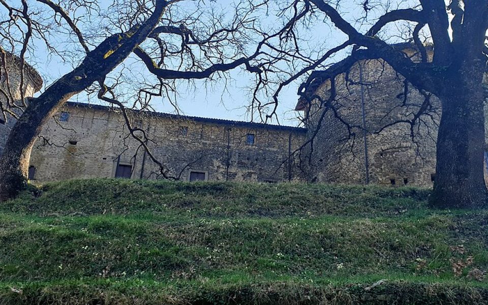 Castle of  Monti
