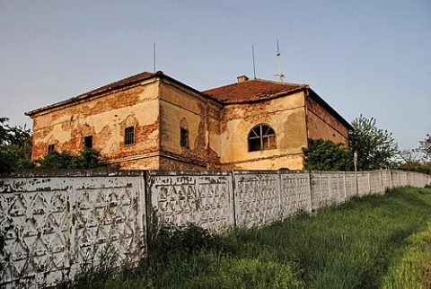 Photo: Ela Vaida, CC BY-SA 3.0 ro, Wikimedia Commons