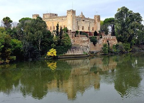Photo: LBM1948, CC BY-SA 4.0, Wikimedia Commons