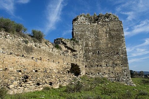 Photo: Anual, CC BY-SA 4.0, Wikimedia Commons