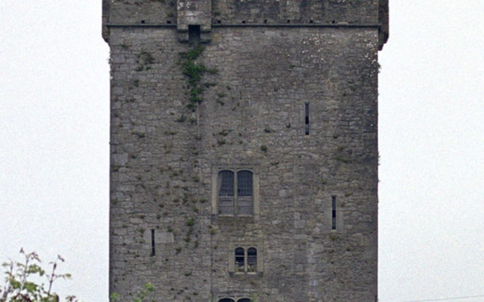Ballyhannon Castle