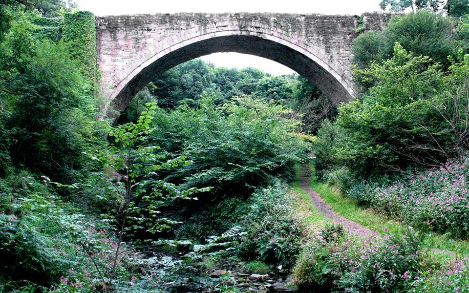 Causey Arch