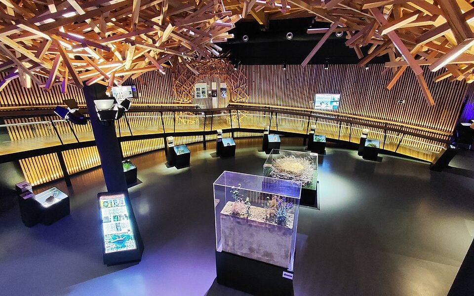 North visitor's centre of Monfrague National Park