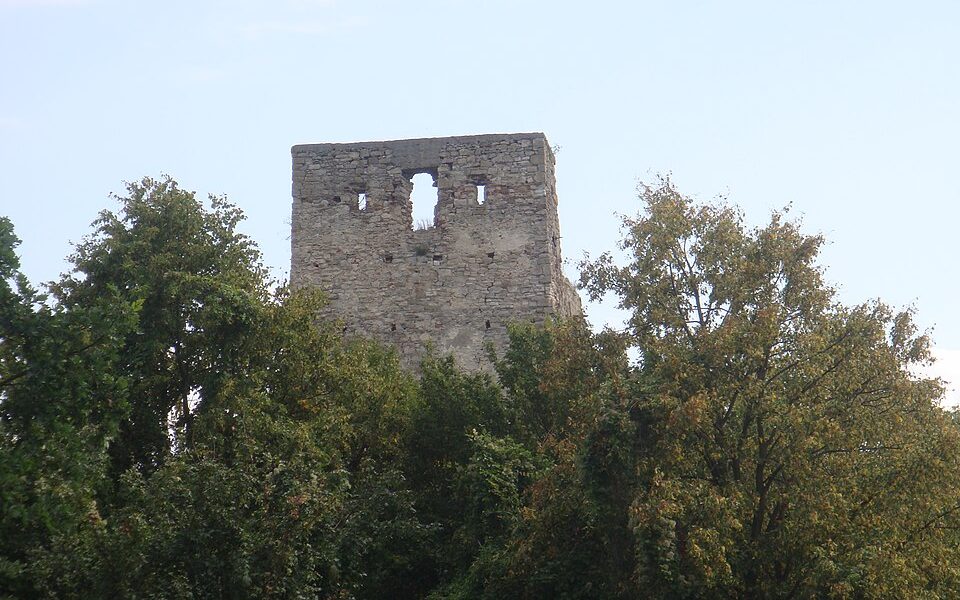 Almașu Citadel