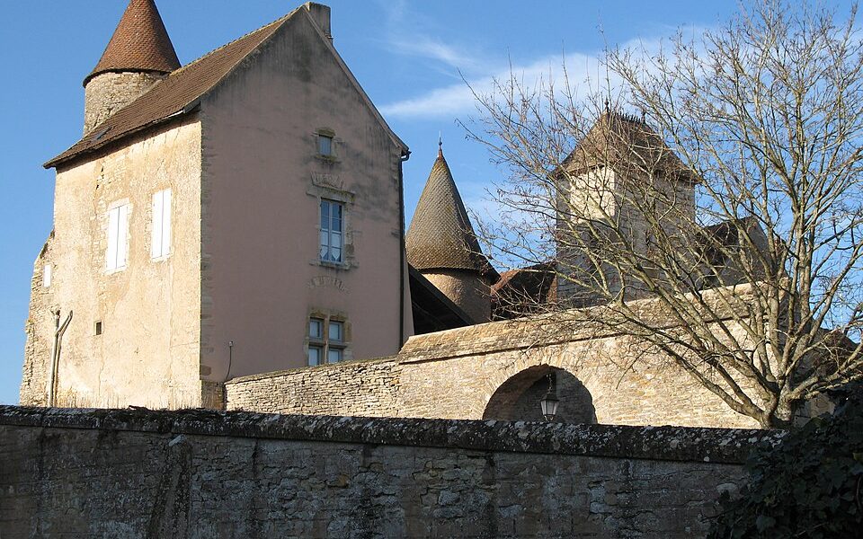 Château de Savianges
