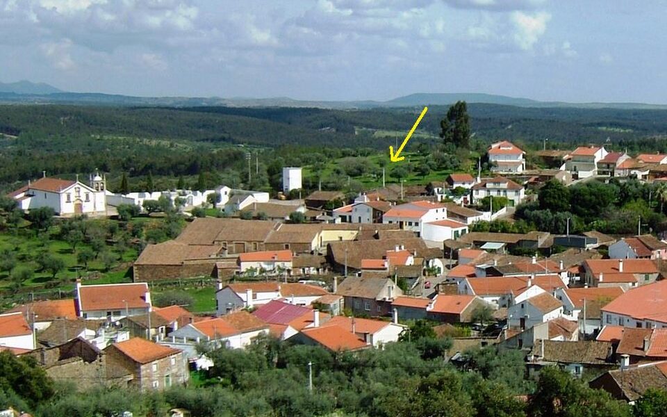 Castelo de Proença-a-Velha