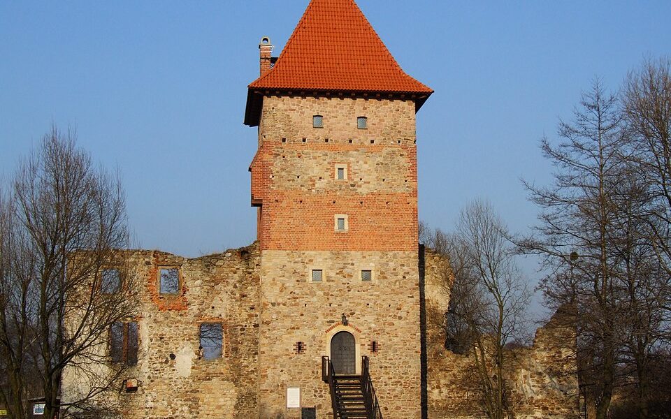 Chudów Castle