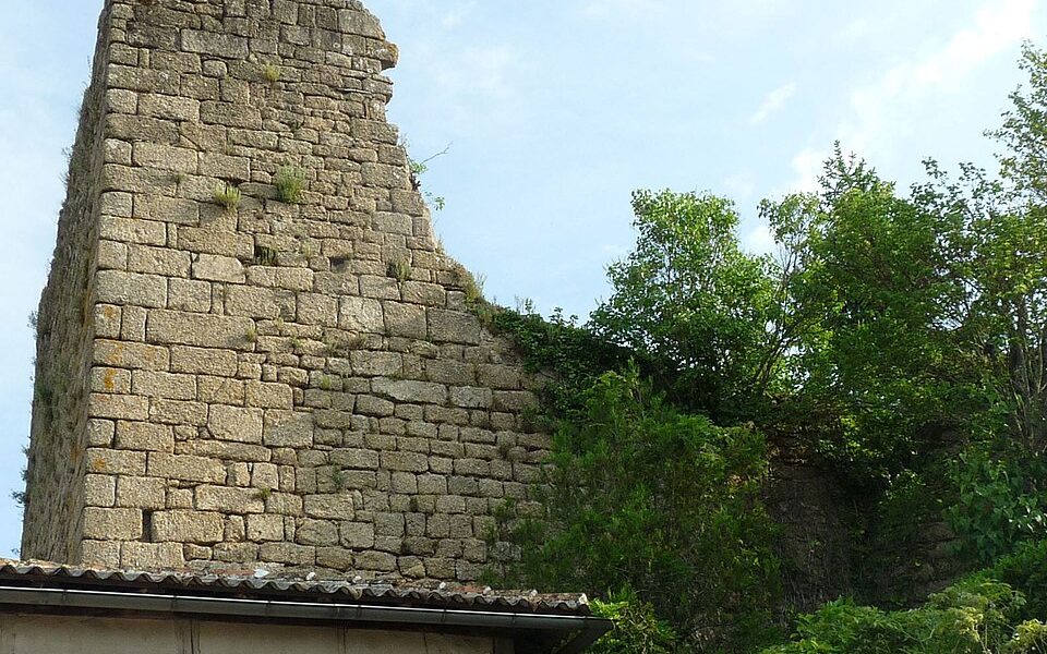 Château de Confolens
