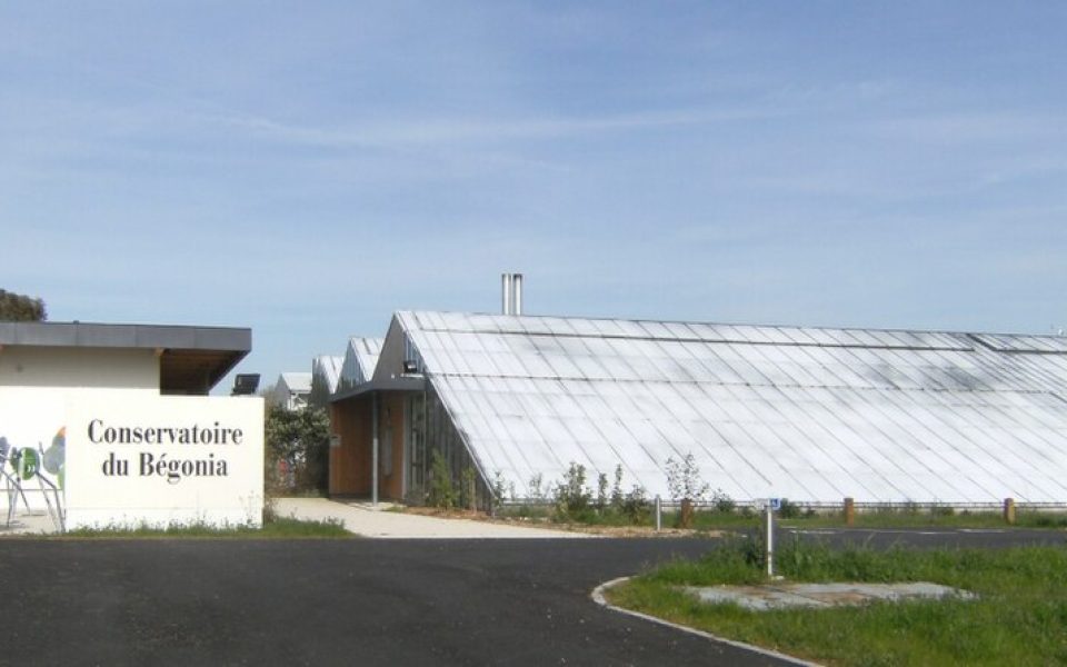 Conservatoire du Bégonia
