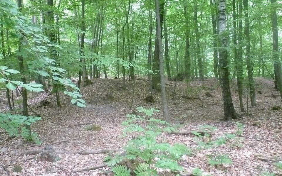 Custine-Schanzen (Oberursel)