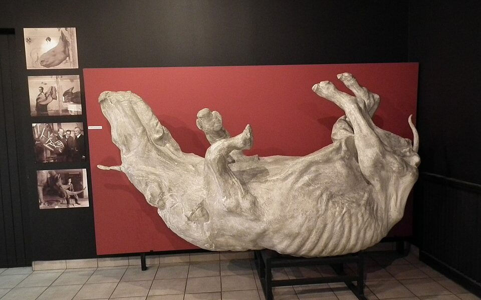 Muzeum Przyrodnicze Instytutu Systematyki i Ewolucji Zwierząt PAN