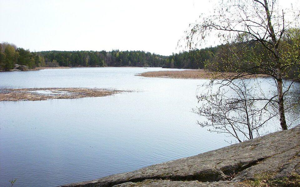 Dammtorpssjön