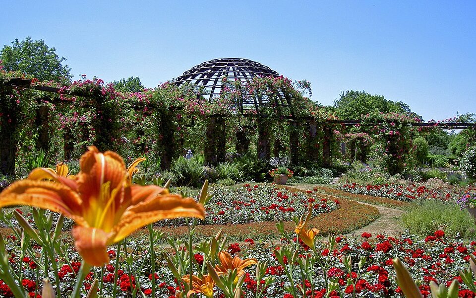 Rosenhöhe Park