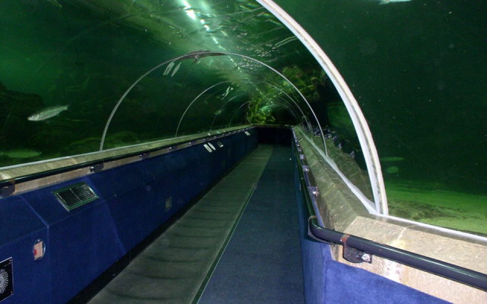 Deep Sea World