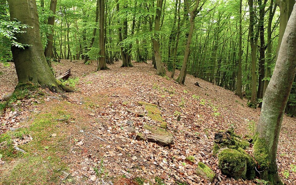 Dehmer Burg
