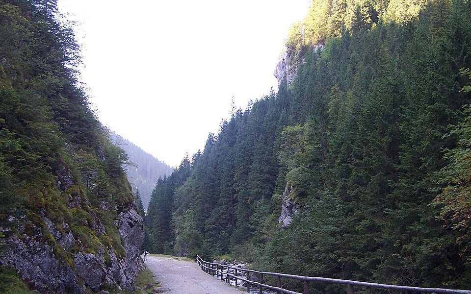 Jaskinia Mała