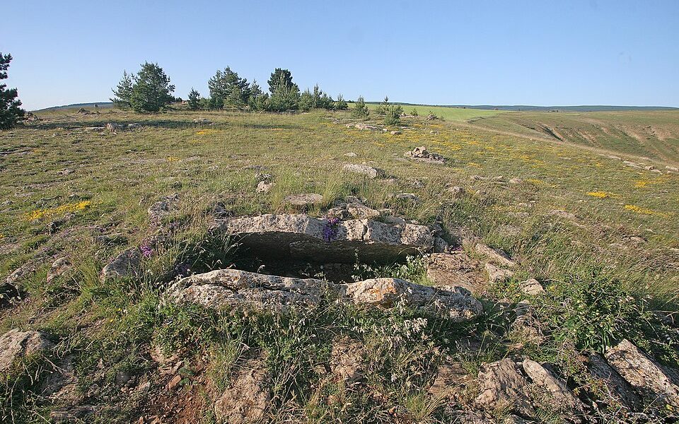 Les Combes dolmen