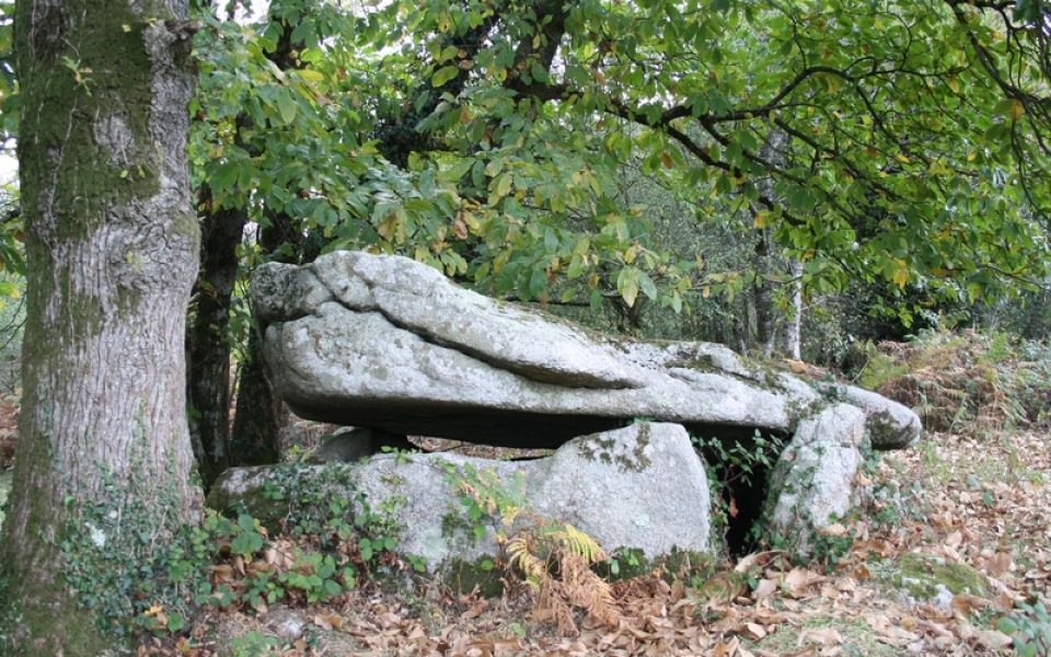 Dolmen de Guidfosse
