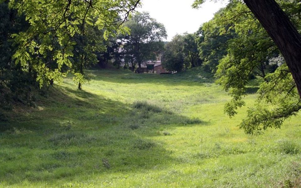 Burgwall Drense