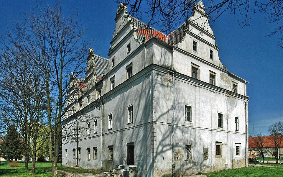 Manor in Wilków Wielki