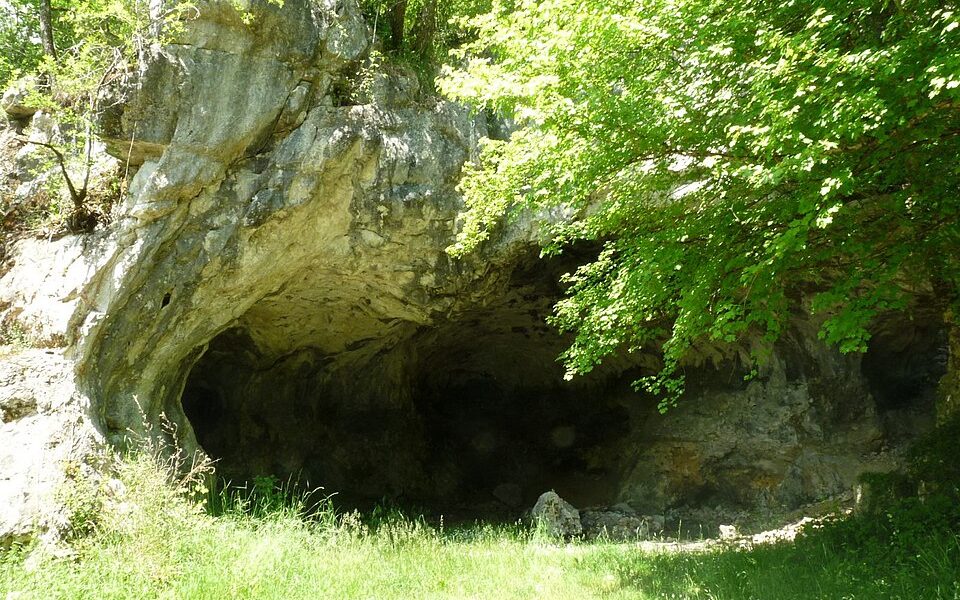 Ménieux cave
