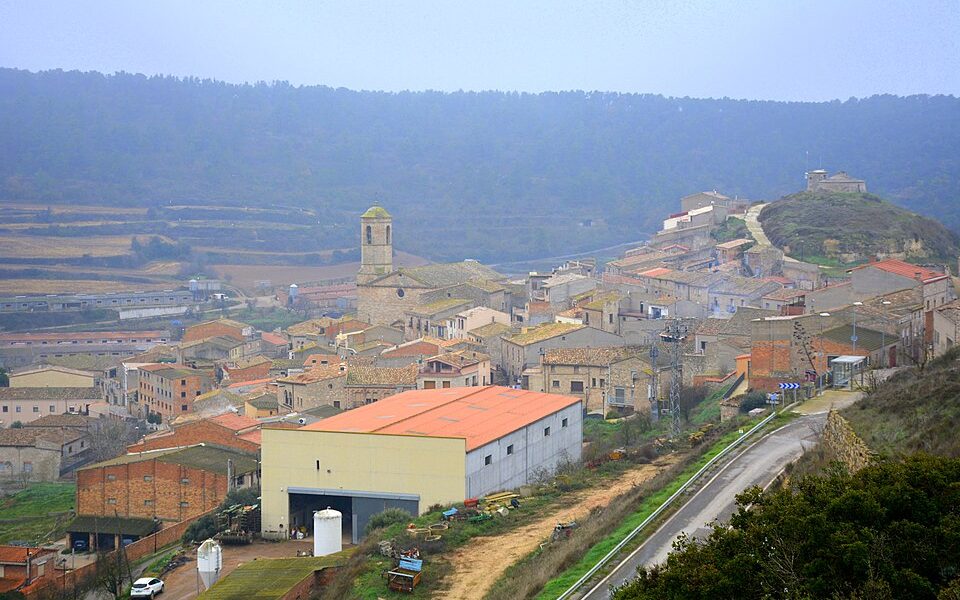 Castell dels Omells de na Gaia