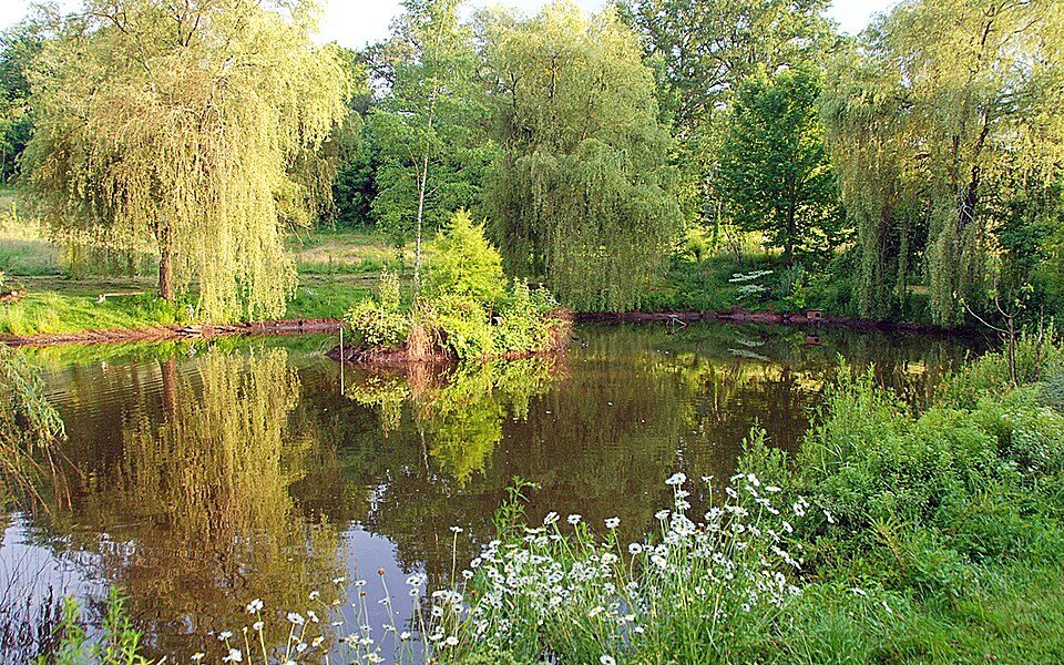Arboretum de la Tuillère