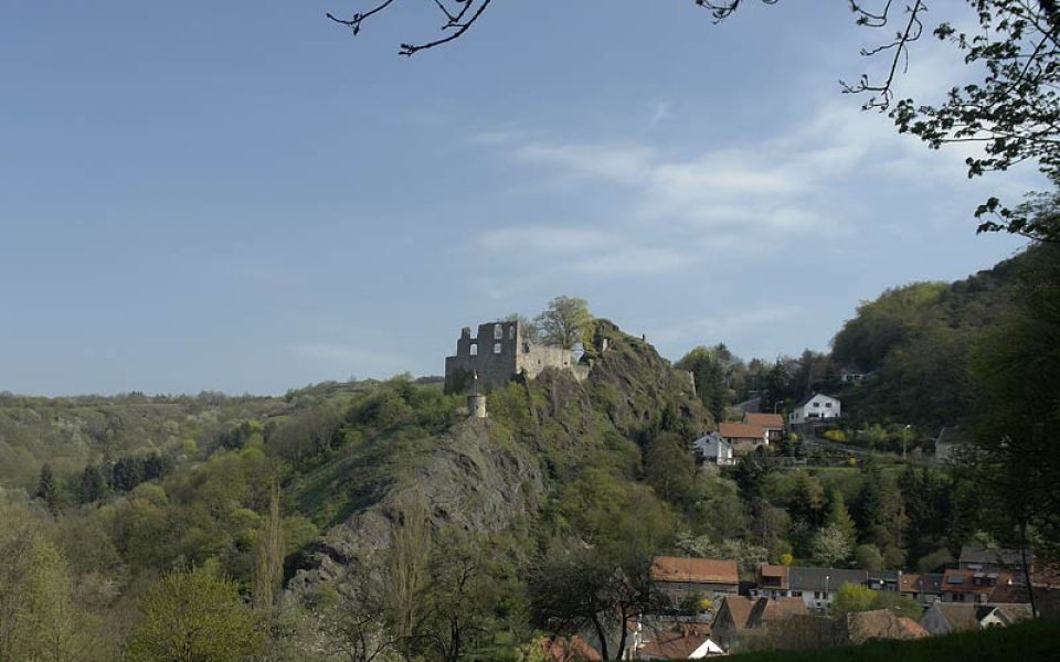 Falkenstein Castle, Palatinate