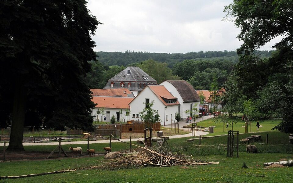 Tier- und Pflanzenpark Fasanerie