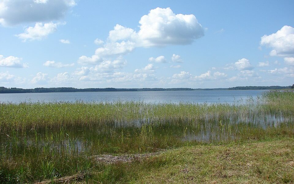 Feimaņu ezers