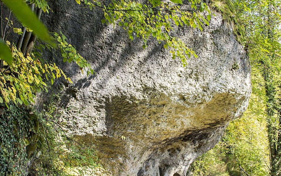 Felsen mit Schloßparkhöhle (C23) NW von Aufseß