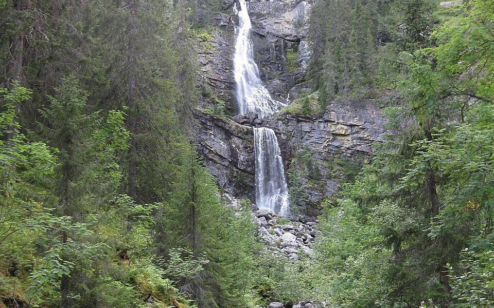 Fettjeåfallet
