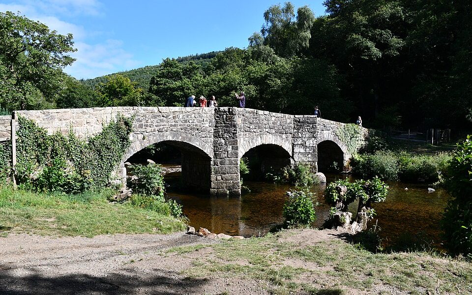 Fingle Bridge