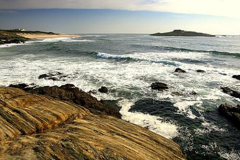Photo: Joaomartinho63, CC BY-SA 3.0, Wikimedia Commons