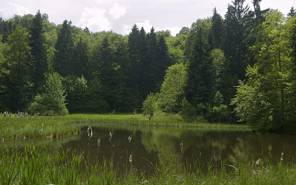 Frau-Holle-Teich